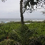 Wright by the Sea