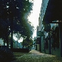 Amelia Island Coastal Town