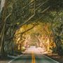 Martin Grade Scenic Highway
