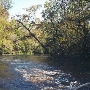 Julington Creek Swamp