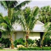Casa Coco - Island House