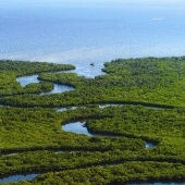 Charlotte Harbor Blueway Trails