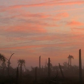 Castaway Island Preserve