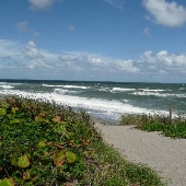 Coral Cove Park