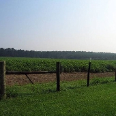 Farms