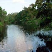 Shell Creek