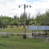 Everglades Archers