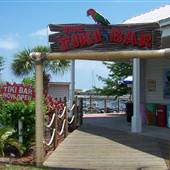 Tiki Bar & Grill