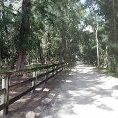 Gulf Stream Polo Club Road