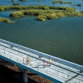 Aerial_St. Pete Pinellas Trail