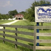 Rocking Horse Stable