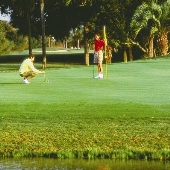 St Johns GOLF