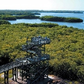 Weedon Island Preserve