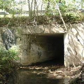 Gainesville creeks & tunnels
