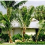 Casa Coco - Island House