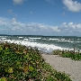 Coral Cove Park