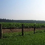 Farms