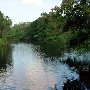 Shell Creek