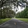 Roads