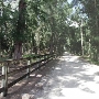 Gulf Stream Polo Club Road