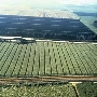 Pahokee Field