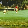 St Johns GOLF