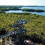 Weedon Island Preserve