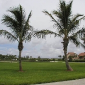 Ocean Cay Park