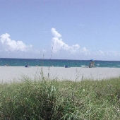 Atlantic Dunes Park