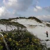 Pensacola Dunes