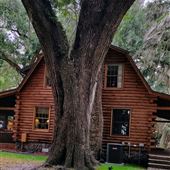 Log Home on Lake Pleasant