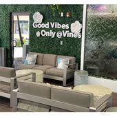 Vines Bar and Grille