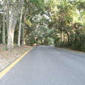 Hanna Park Roads
