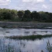 Loxahatchee Wildlife Refuge