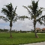 Ocean Cay Park