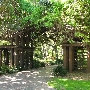 Tripp Home