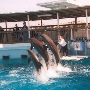 Gulfarium