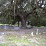Christmas Cemetery