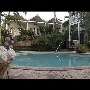 Marquesa Pool 71251