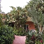 Crane's Beach House