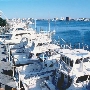 Destin Harbor