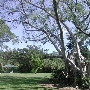 Orchard View Park