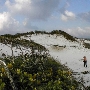 Pensacola Dunes