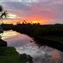 Salt Springs Road