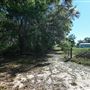 4516 Linwood Trace Lane