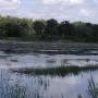 Loxahatchee Wildlife Refuge