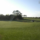 Golfing