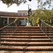 Cummer Art Museum and Gardens