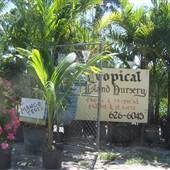 Tropical Nursery