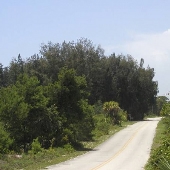 Jonathan Dickinson Road